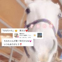 iro00__72