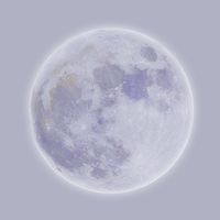 오리지널 사운드 - 🎧