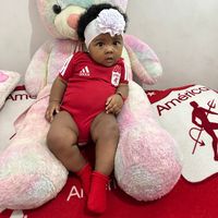 arango_311
