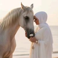 asumandemir10