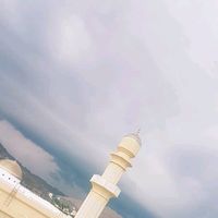 userraya18