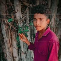 user4214608581929