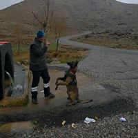 kubilayaslan1