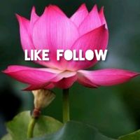 mohsin.aziz63