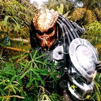 bunyi asal - Ejaywak Predator