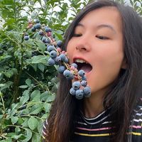 fruitpickingjobs_aus
