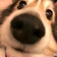 白月光與硃砂痣