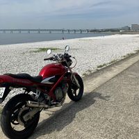 goodday0329