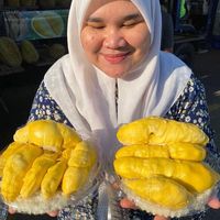 bunyi asal - pulutduriannurulain