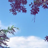mr_mehtab004