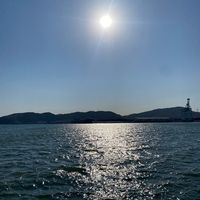 tanutyannzu