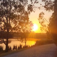 karenmcgrath0369