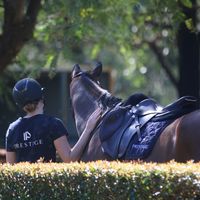 blp_equestrian0