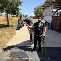 ahmad_aboallo