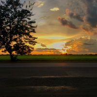 original sound - ZhaoLin 赵琳