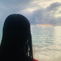searching_for_sann00