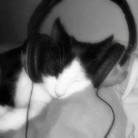 оригинальный звук