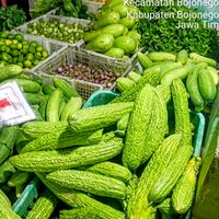 suara asli - Oke Boss