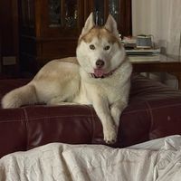 jake_n_mary