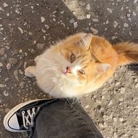 Audio edited by nOva OntOra