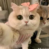 original sound - jennie_nimah10