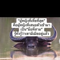 เสียงต้นฉบับ - ช็อตนี้โคตรโดน
