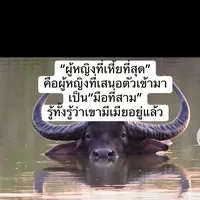 original sound - nichashoppp