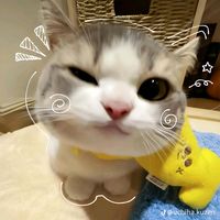 original sound - Kofi