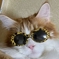 オリジナル楽曲 - よっぱ[公式]