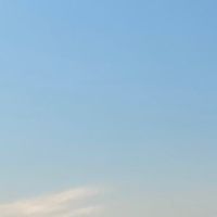 オリジナル楽曲 - にどる🇩🇪