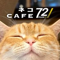 park72neko