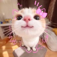 rm_rimu_0