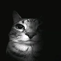 dərin mənası vare