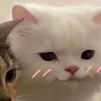 nhạc nền - 내가 오늘까지 내가 너무