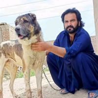 www.ajmalkhan7