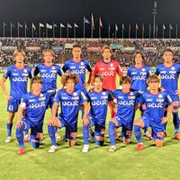 hatanokofufan