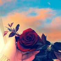 usertr7ssfe8d2