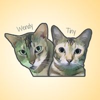 krispaingscats