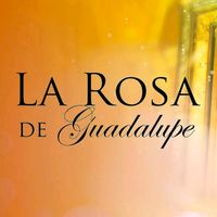 la.rosa.de.guadalupe126