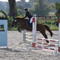 holekk.the.sport.pony