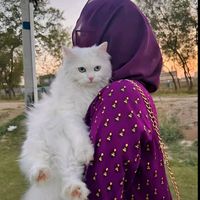hira_khan068