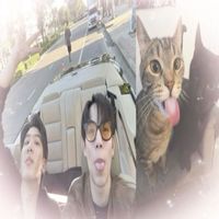 vikis_s3