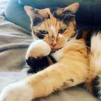 queenpriscilla19