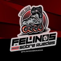 felinos.sobre.ruedas