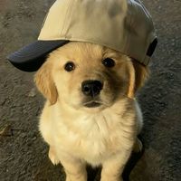 lloowkey1