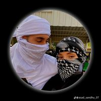 الصوت الأصلي