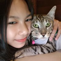 nongmear11