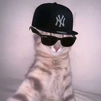 suara asli - dayzxzxzz!!