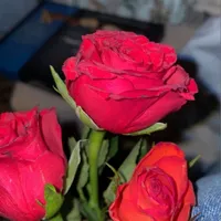 original sound - unknown.rr03