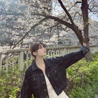 sakuraosi0008